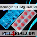 Kamagra 100 Mg Oral Jel new14